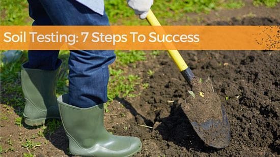Soil Testing: 7 Steps to Success